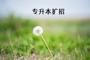 專升本擴招