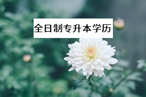 全日制專升本的第一學(xué)歷是本科嗎？非全日制學(xué)歷的第一學(xué)歷是什么？