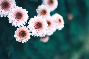 非全日制專升本的第一學(xué)歷是本科嗎？