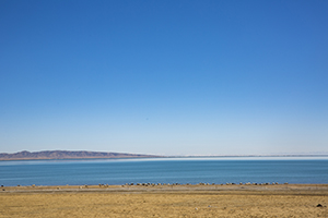 基礎(chǔ)知識的積累