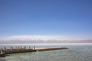 規(guī)范答題 規(guī)范答題