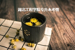 湖北工程學(xué)院專升本考情