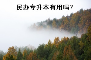 民辦專升本有用嗎？