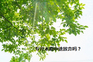 專升本能中途放棄嗎？