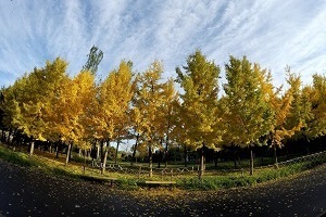 大專第三年才開始準(zhǔn)備普通專升本考試來得及嗎？該如何備考？