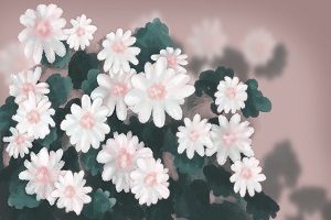 能否報(bào)考？