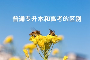普通專升本和高考之間有什么差別？哪個(gè)更難考？
