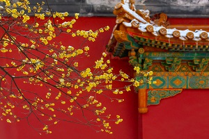全日制普通專升本和本科有區(qū)別嗎？哪些地方是不同的？