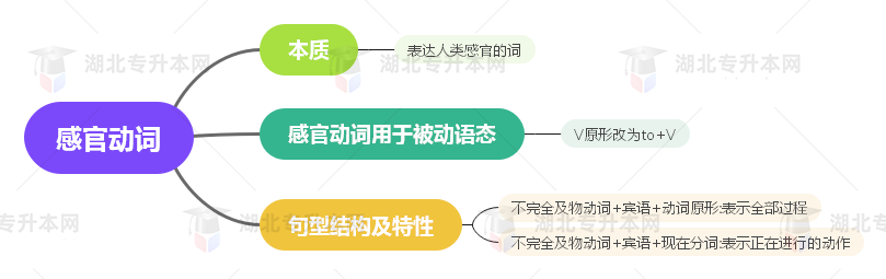 普通專升本英語要掌握多少種語法？25張思維導(dǎo)圖教會(huì)你！